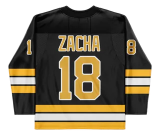 Pavel Zacha